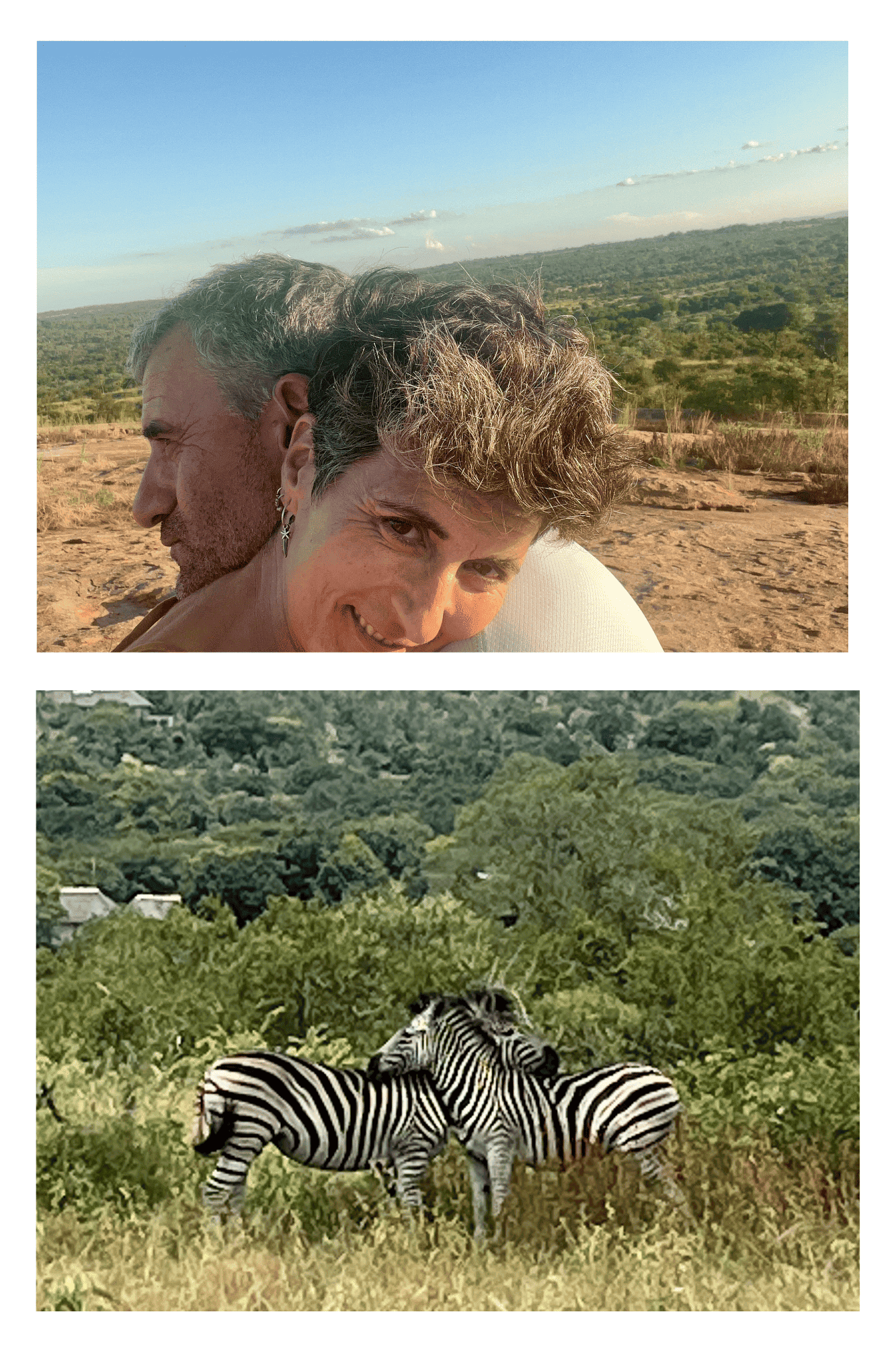 274180862 10160518798596318 3554556718334393128 n