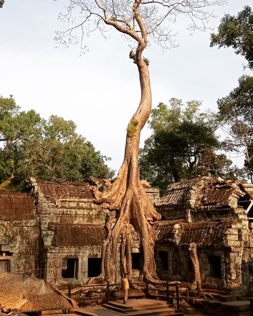 274180862 10160518798596318 3554556718334393128 n