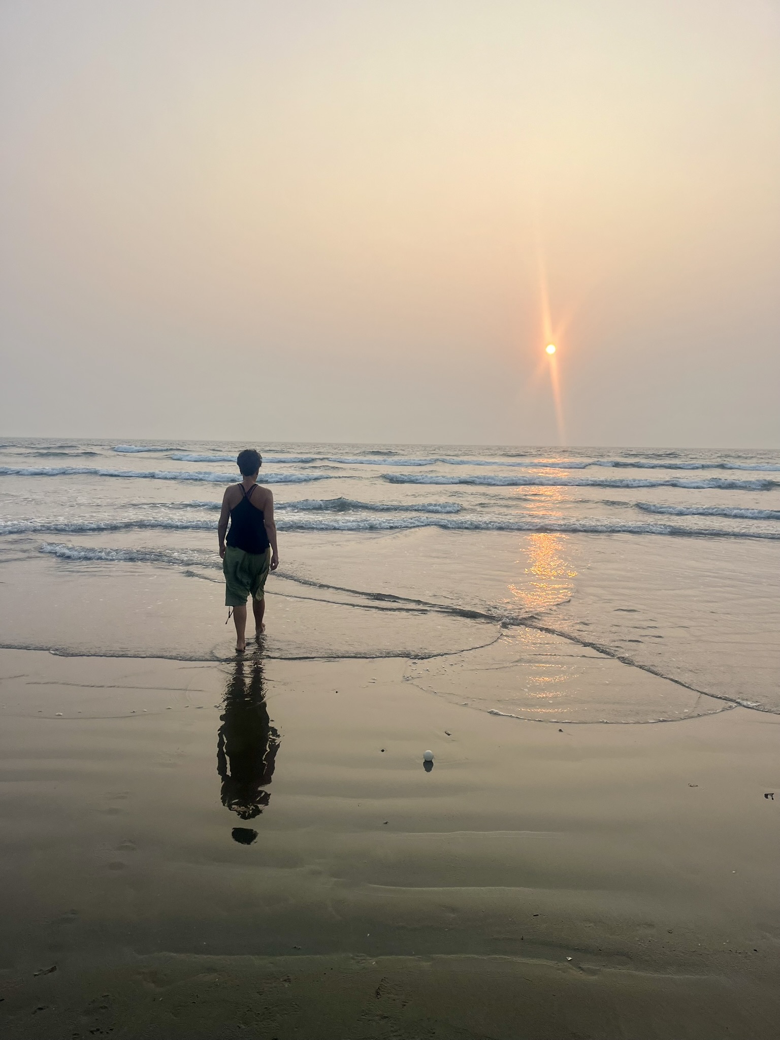 274180862 10160518798596318 3554556718334393128 n