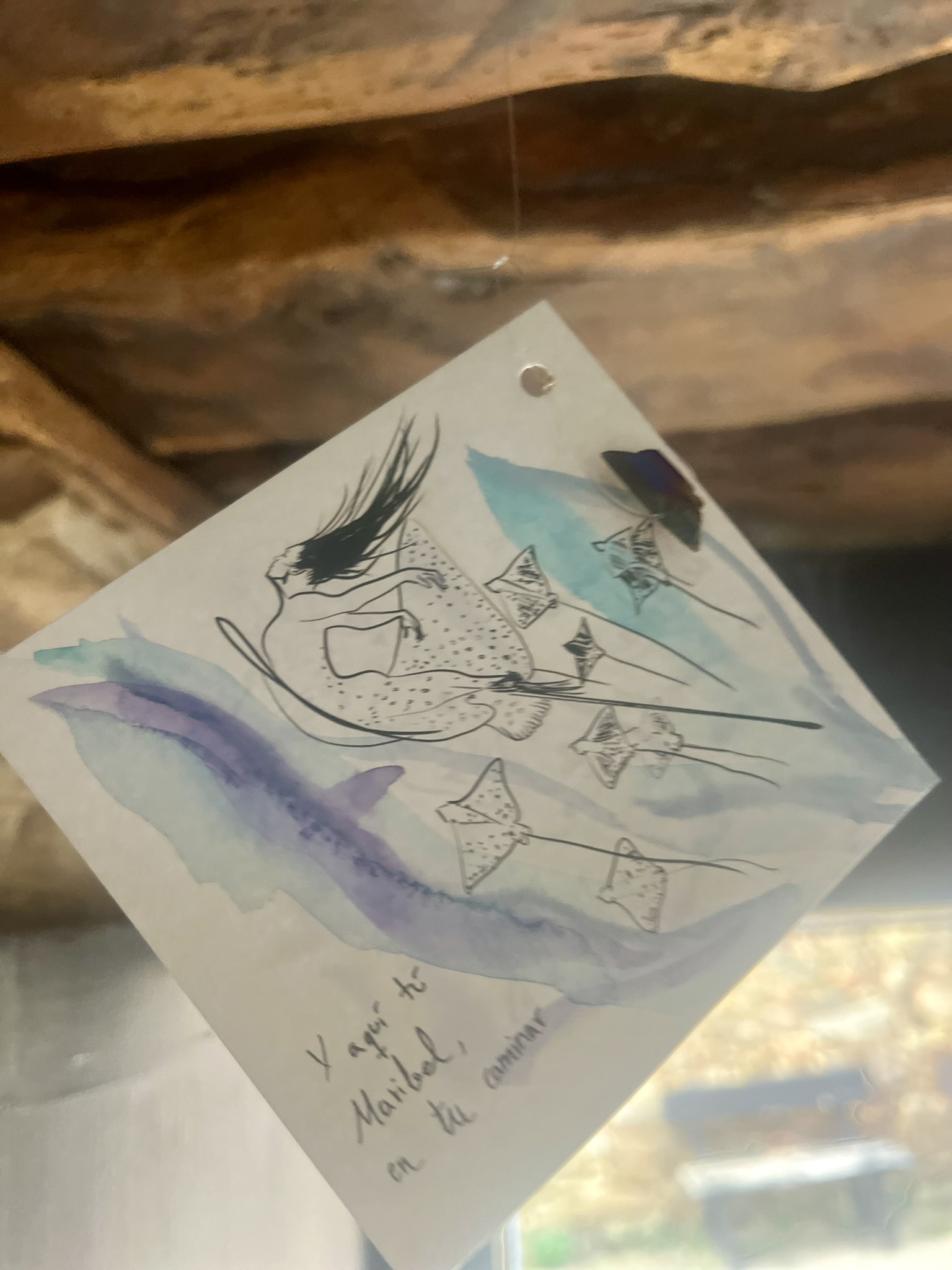 274180862 10160518798596318 3554556718334393128 n