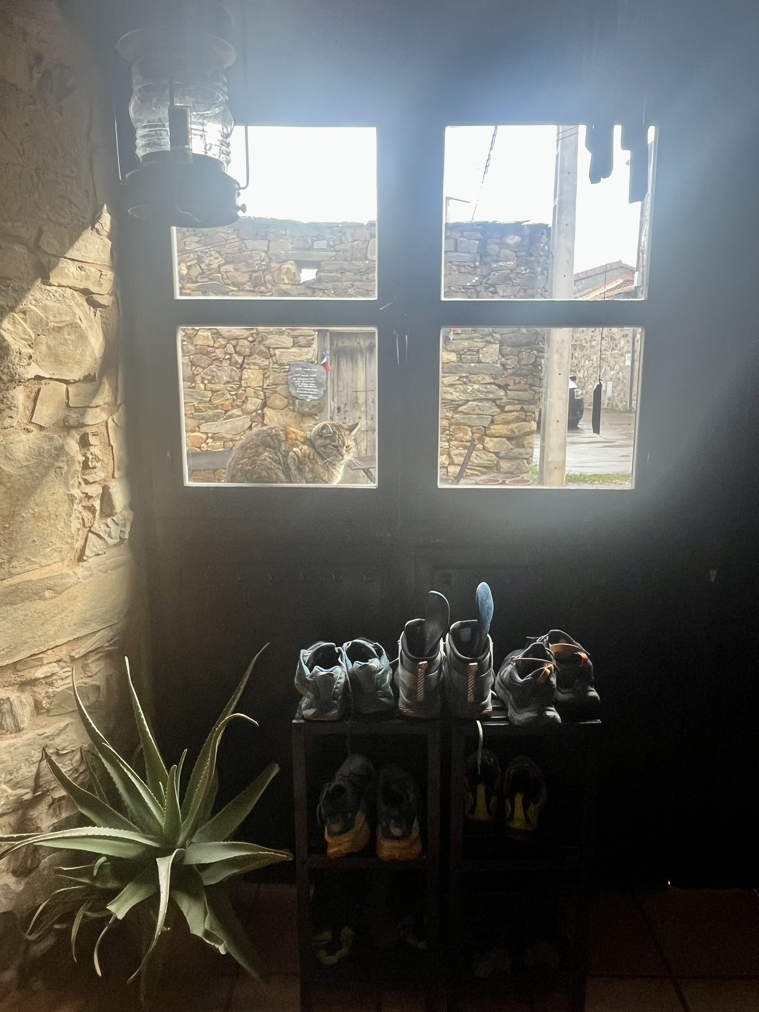 274180862 10160518798596318 3554556718334393128 n