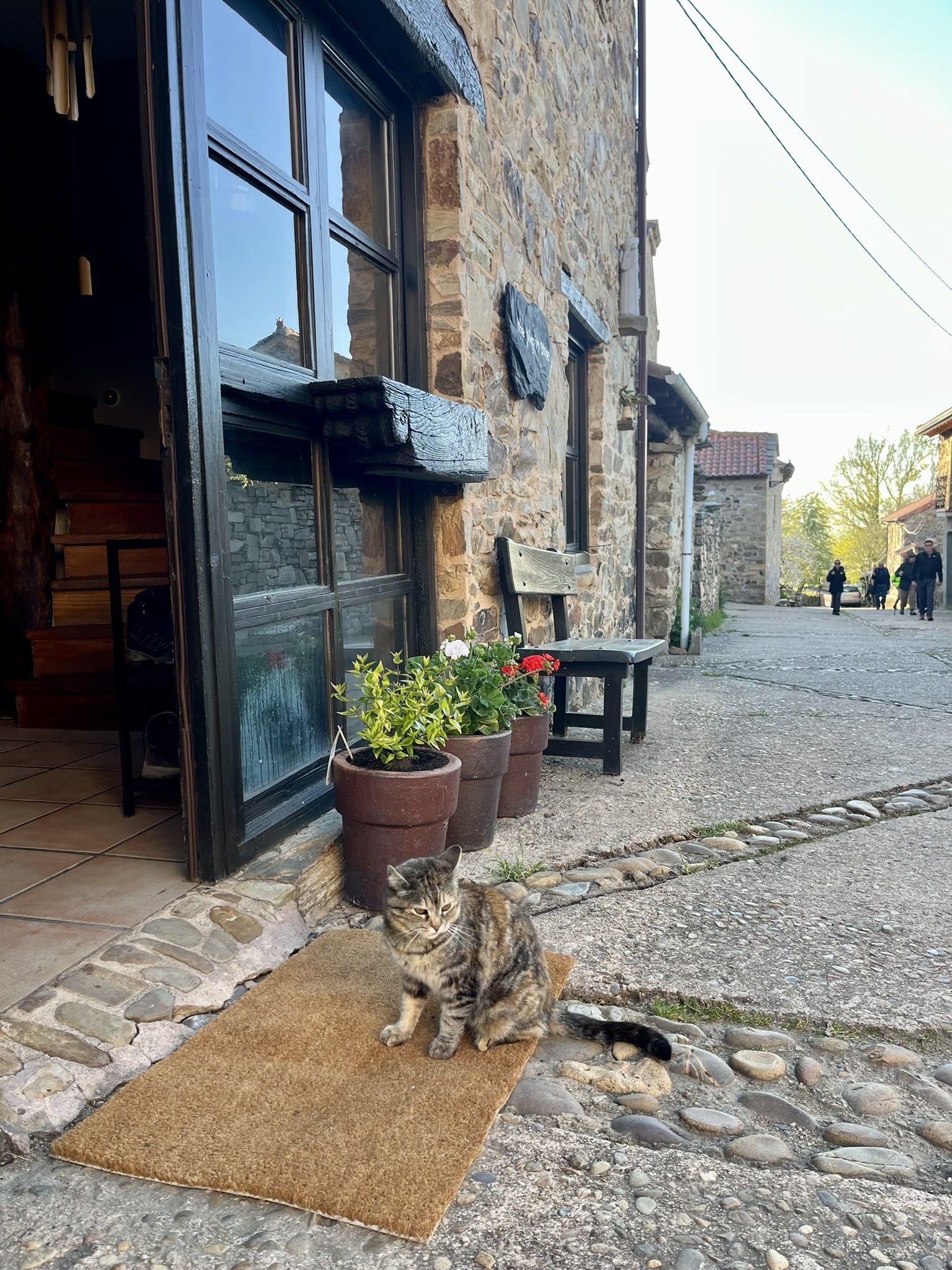 274180862 10160518798596318 3554556718334393128 n