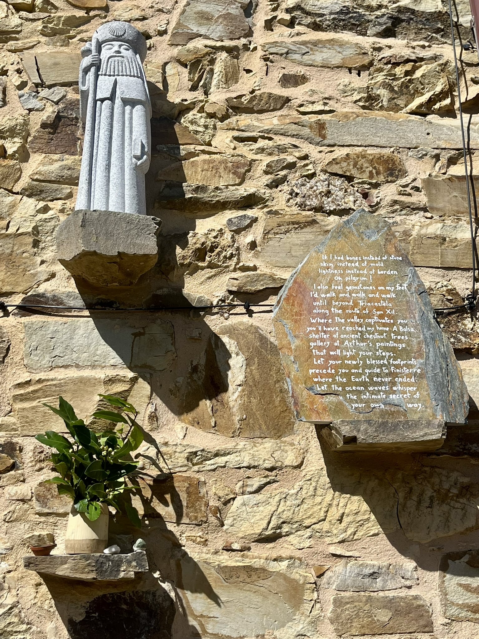 274180862 10160518798596318 3554556718334393128 n