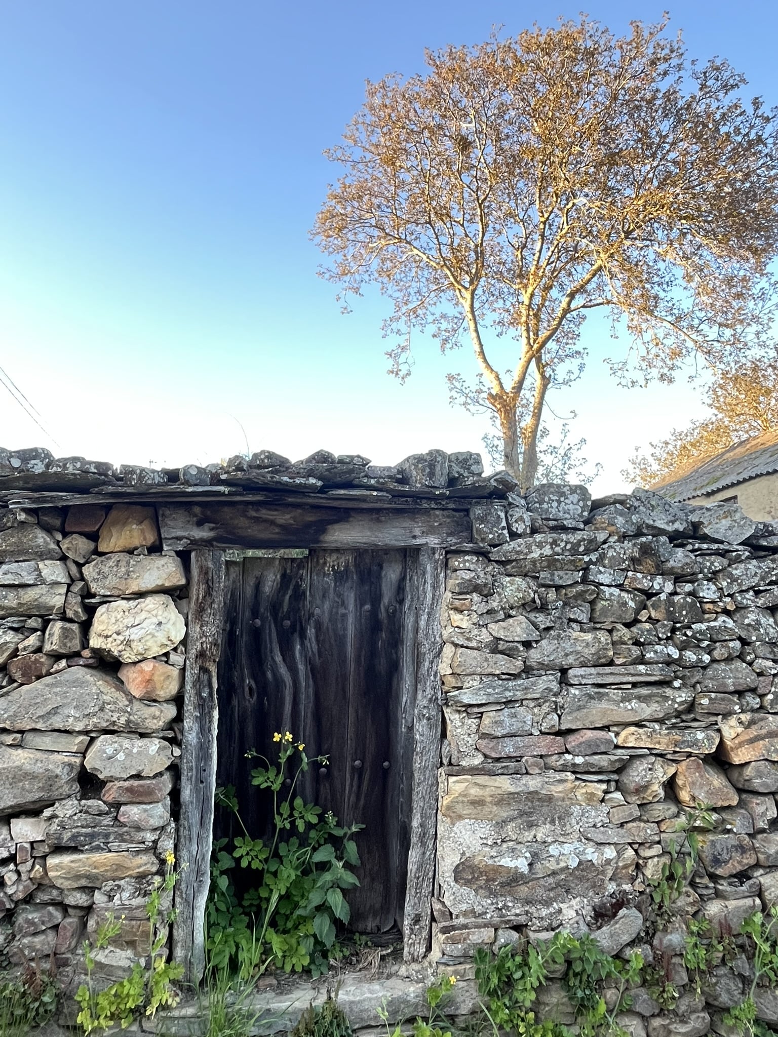 274180862 10160518798596318 3554556718334393128 n