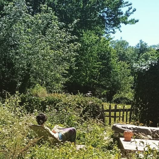 274180862 10160518798596318 3554556718334393128 n