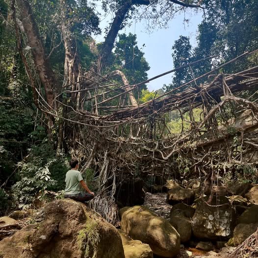 274180862 10160518798596318 3554556718334393128 n